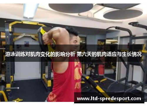 游泳训练对肌肉变化的影响分析 第六天的肌肉适应与生长情况