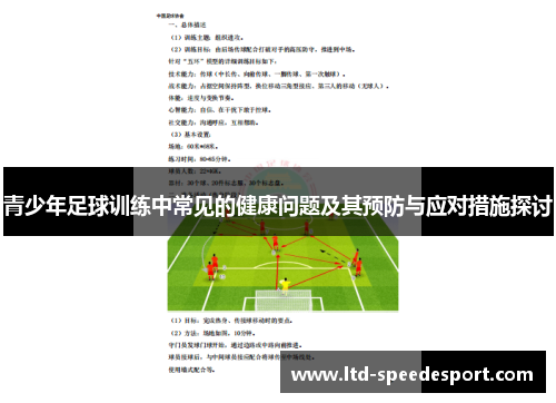青少年足球训练中常见的健康问题及其预防与应对措施探讨