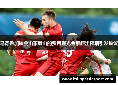 马德鲁加转会山东泰山的费用曝光金额超出预期引发热议