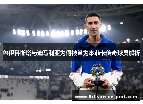 鲁伊科斯塔与迪马利亚为何被誉为本菲卡传奇球员解析