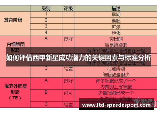 如何评估西甲新星成功潜力的关键因素与标准分析